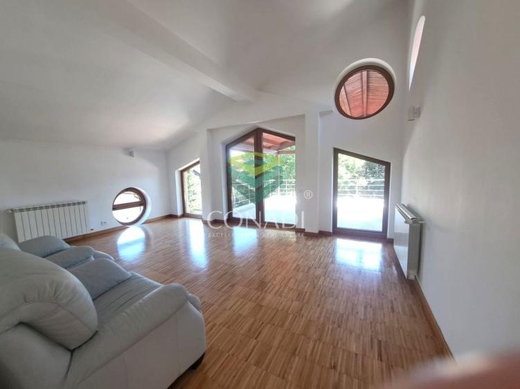 Baneasa-padure, vila de inchiriat, 500 mp utili - 9