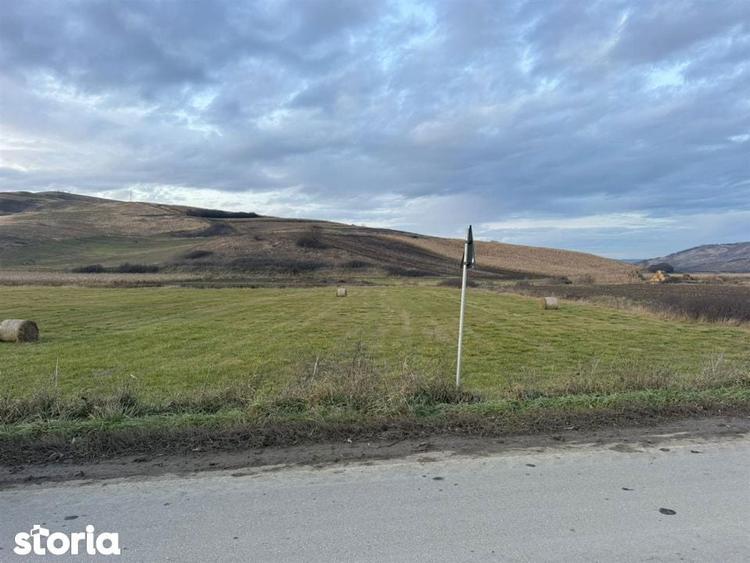 Teren Extravilan I 6000 Mp I Acces la drum | Cojocna - 2