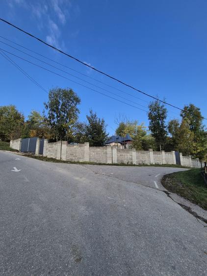 Provita de Sus (Plaiu) casa + teren 700 mp de vanzare - 5