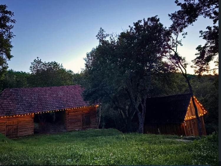Casă cu 3 camere în Bulz