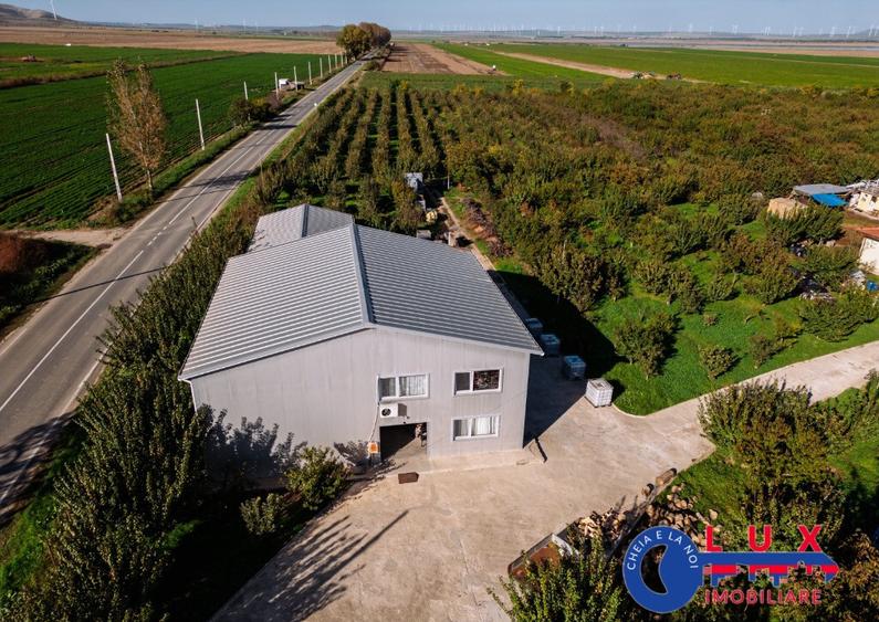 ID 7785 LIVADA SABANGIA DE VANZARE - 27