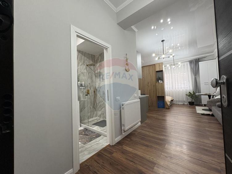 Apartament în zona Hanul cu Pește - Ștefan Building Lake II - 8