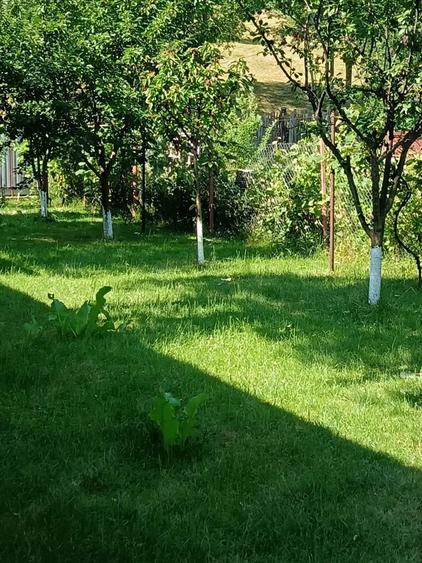 Casă cu 4 camere în Coman