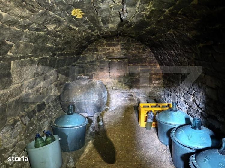 Casă cu 4 camere cu Teren 3000 Mp în Răducăneni