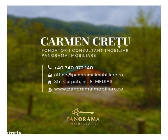 Spațiu comercial, în Aurel Vlaicu