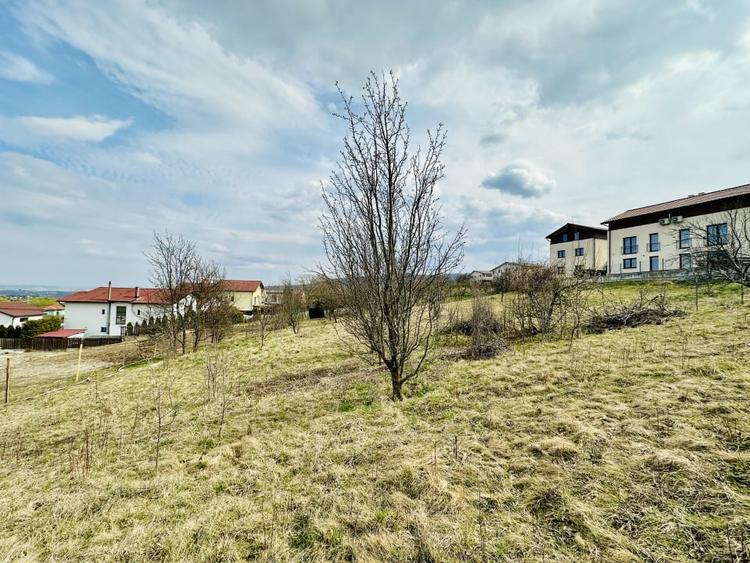 Teren Construcții intravilan de 655 mp, în Europa