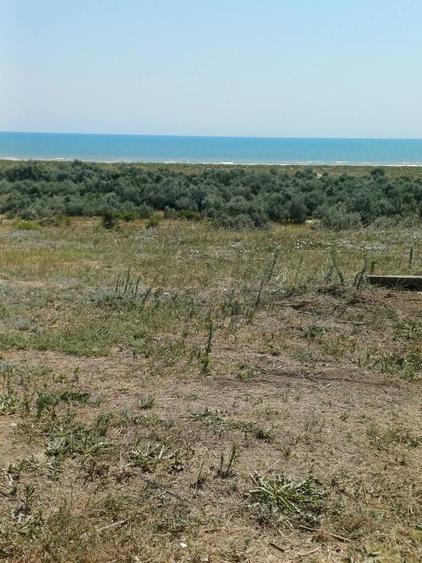 Teren 1020 mp Corbu Constanta - 1