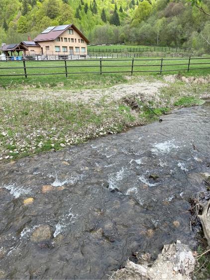 Teren de 3981 mp, în Plaiul Foii