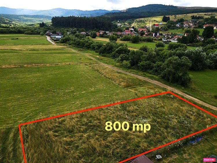 Teren de 800 mp, în Cărpiniș