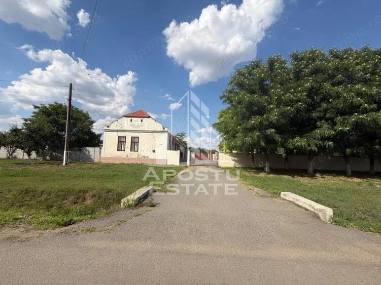 Casă cu 5 camere cu Teren 5755 Mp în Șandra