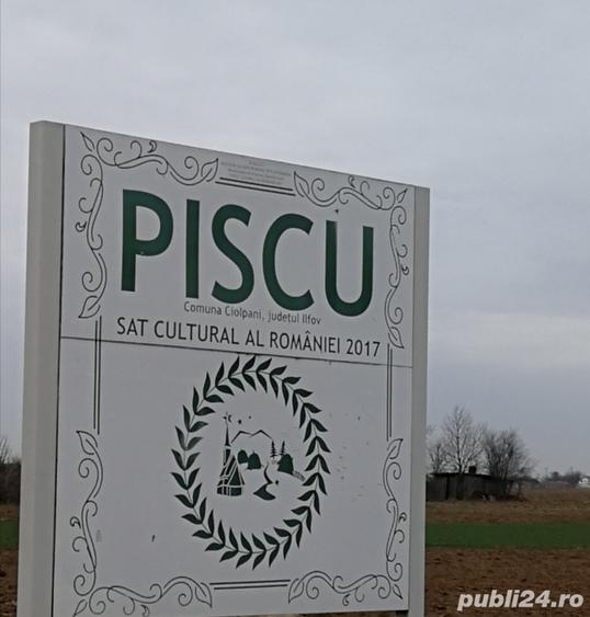 Teren de 1909 mp, în Piscu