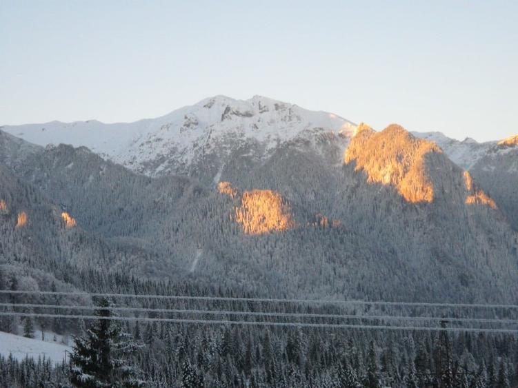 10650 pe munte, langa Predeal  cu PUZ, ridicare TOPO, studiu GEO,apa,gaz,curent - 6