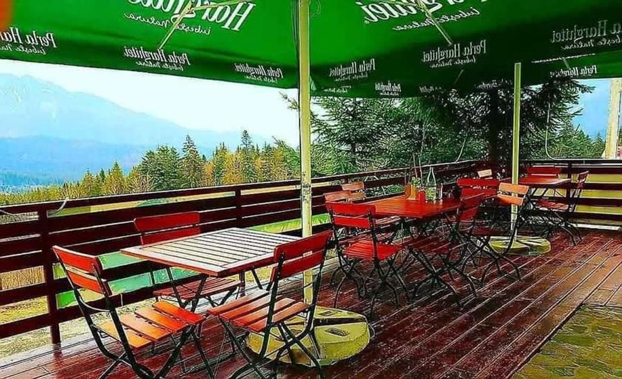 Aparthotel cu view superb Valea Prahovei - 13