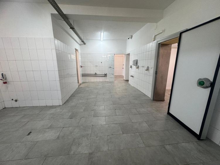 Spatiu cu alta destinatie Lipovei !!! - 2