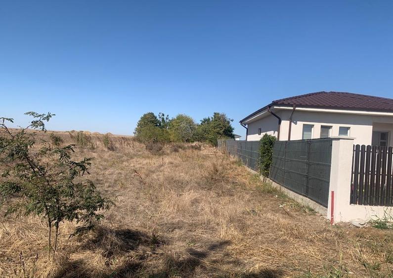 Teren Cumpana zona Movila - 1