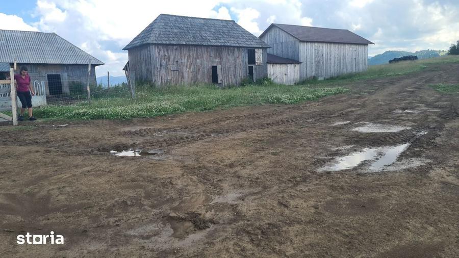 Vand teren 47.8 HA intravilan + extravilan Moisei/Viseu - 10