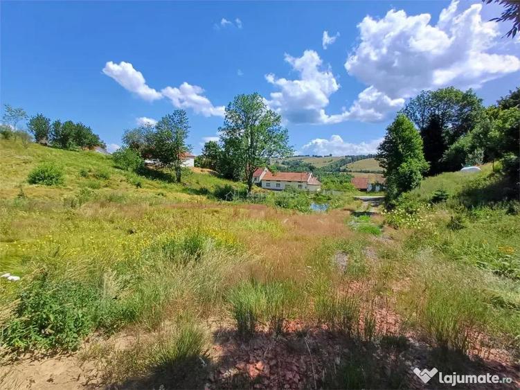 Teren Intravilan in zona Trei Ape, 6889 Mp., 14,5 Euro/Mp., - 4