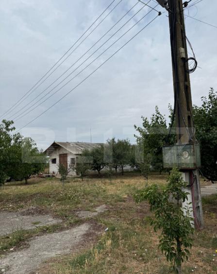 Ferma de Vanzare in judetul Timis, la nord est de Timisoara, - 36