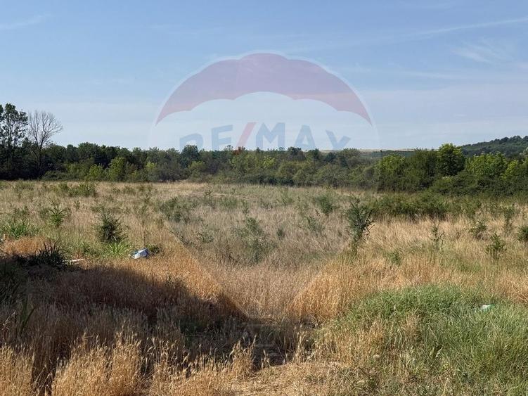 Teren Intravilan Craiova 2500 mp Strada Popoveni - 4