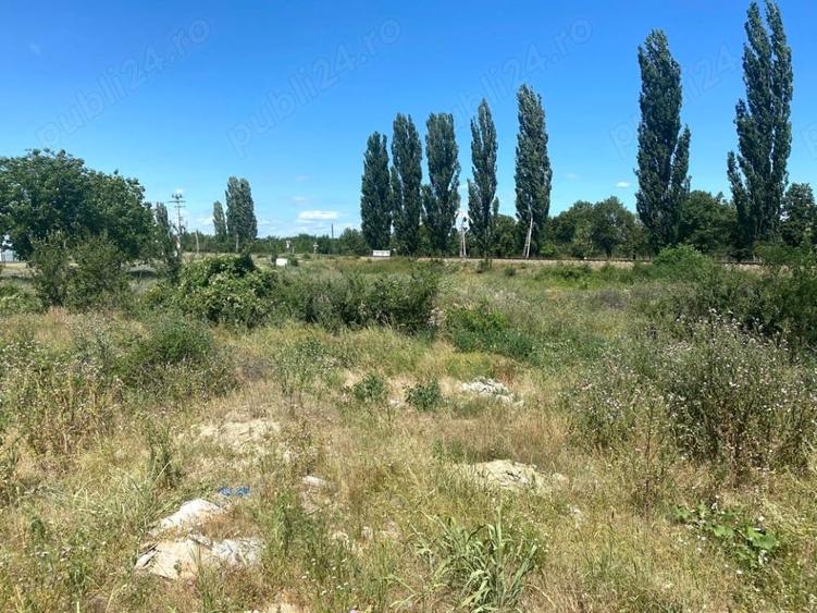 4.613 mp Teren intravilan de vânzare în Drăgănești, Prahova INVESTITIE - 3