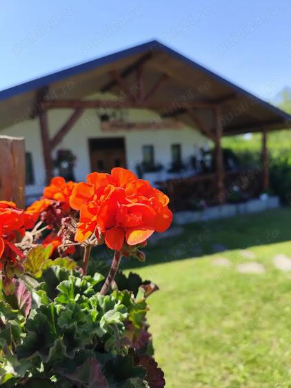 Vand pensiune, casa de vacan?a - 3