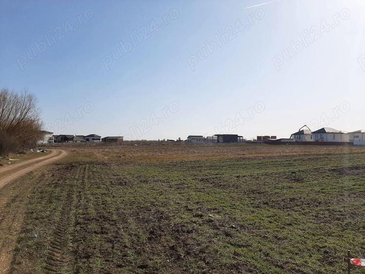 Teren de vanzare 4506mp str.Mierlei Tunari Ilfov - 6