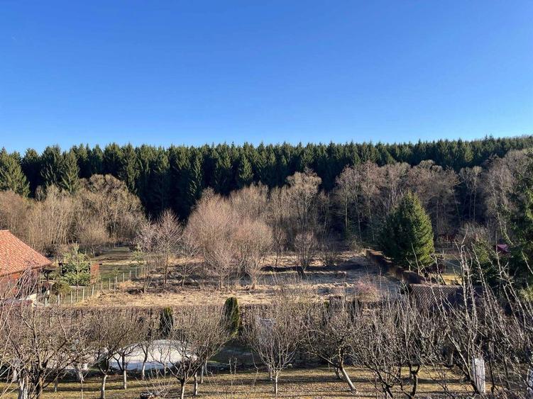 Teren Intravilan intre Savadisla si Finisel, 1250 mp, jud. Cluj - 4