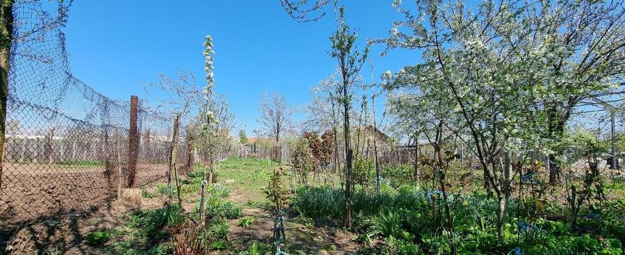 Casa - Caracal Olt - 12