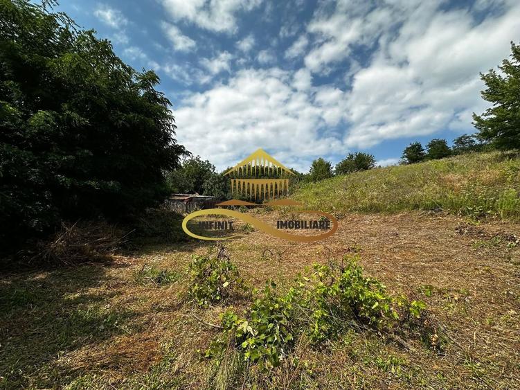 Teren extravilan 1870 mp-de vanzare 14€/mp Sohodol / Bacau - 5