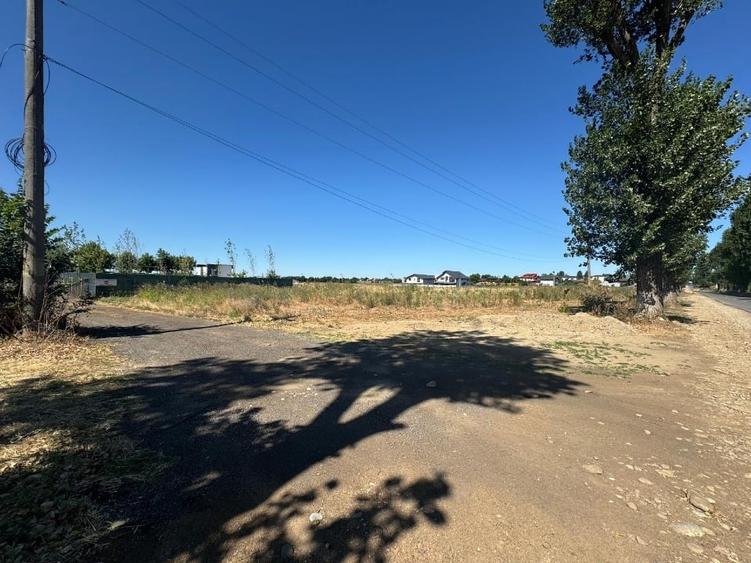 Teren intravilan 665 mp  (550m2 utili) – la șosea principală - 3