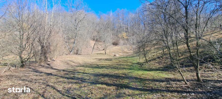 TEREN INTRAVILAN, 2142 mp, COMARNIC PRAHOVA, PODUL LUNG - 6