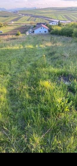 Oportunitate! Teren intravilan de vanzare, 2000 mp., Tureni - 4