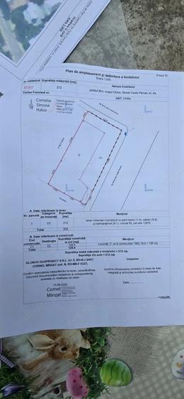 Propietar vand casa in Chitila - 4