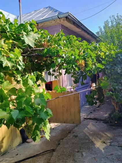 Casa batraneasca de vanzare - 2