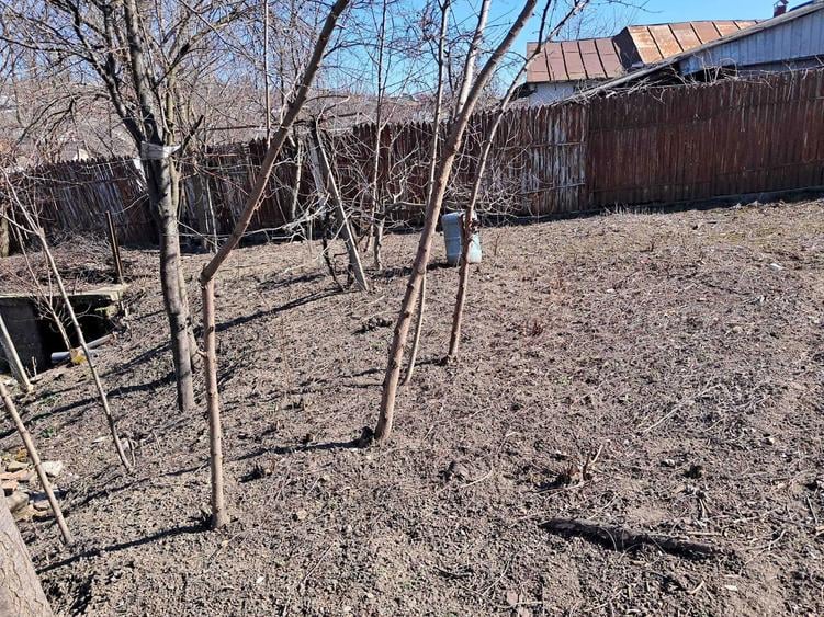 Casa in Husi Jud Vaslui - 5