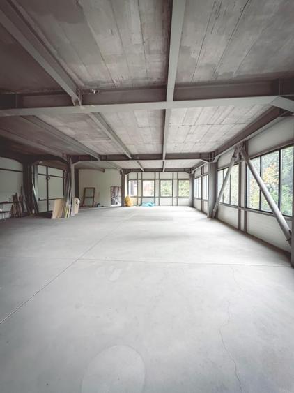 Spatiu Comercial de inchiriat | Bulevardul Basarabia | - 9