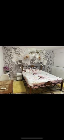 Inchiriez garsoniera la curte - 7