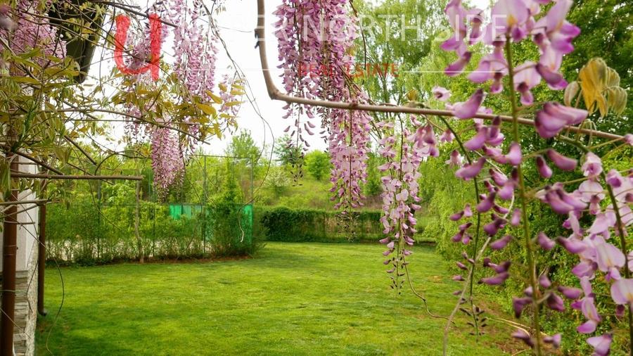 Mansion Luxuriant | Piscina Interioara | Teren tenis | 2500 mp gradina superba - 16