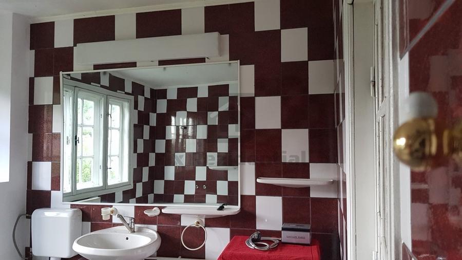 Proprietate deosebita in Targu Neamt - posibiltate transformare pensiune - 25