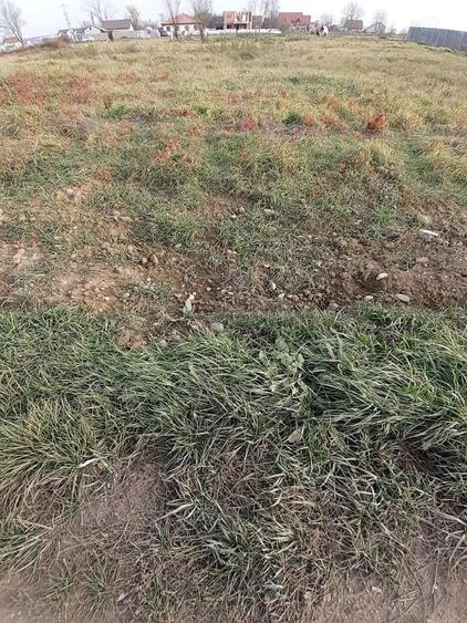 La asfalt. Toate Utilitatile - 1