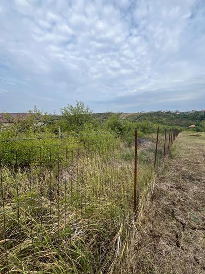 VAND 1000 M Teren INTRAVILAN ,Zona Adevarului Strada LIVEZILOR - 5