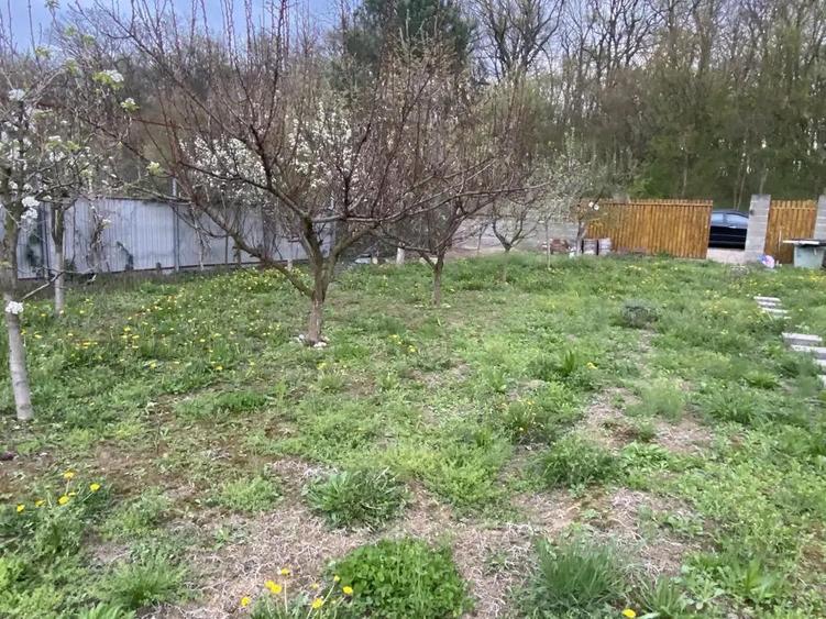 Dumbravi?a, teren 1106 mp, front stradal 19 metri, utilita?i ?i proiect incluse pre? 180 euro mp - 10