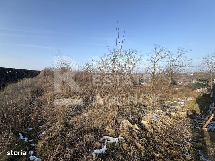 Teren intravilan de vanzare, Rediu,Iasi |1000mp / 500mp | - 5