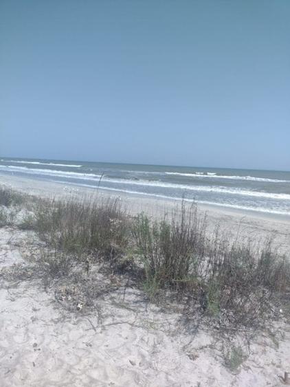 Vadu-Corbu-Teren 2000 mp primul  rand la mare - 9