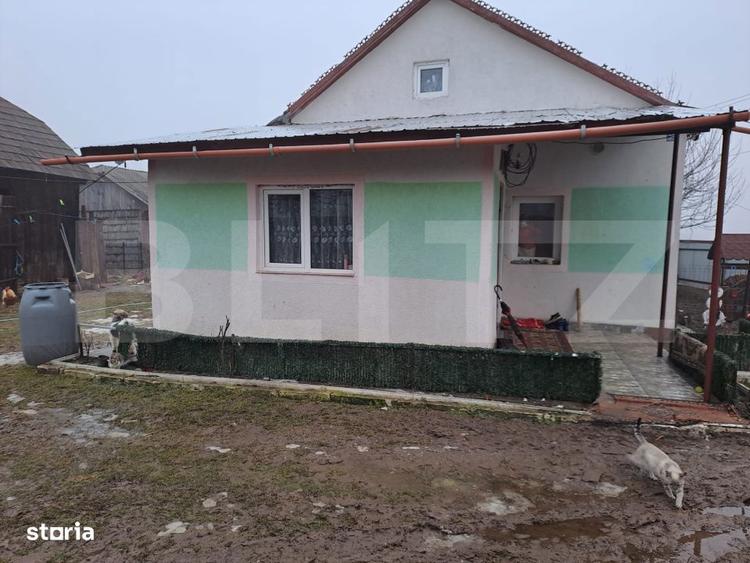 Casa parter, 72 mp utili, 1600 mp teren, zona Maritei - 9
