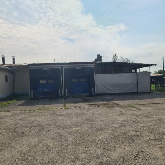 Vand hale frig (1200 mp)+teren intravilan 6400 mp (3000 curte betonata) in Carani (intre TM si AR ) - 20