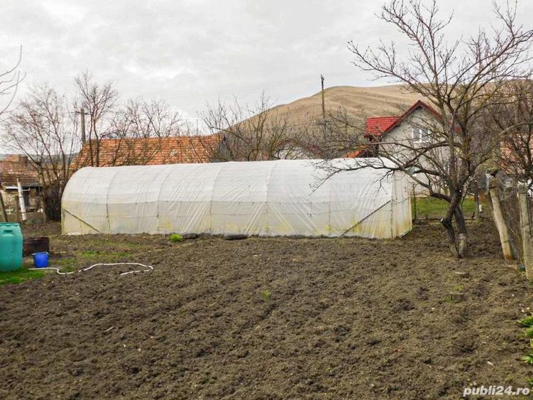 Casa de vanzare Petrisat - 5