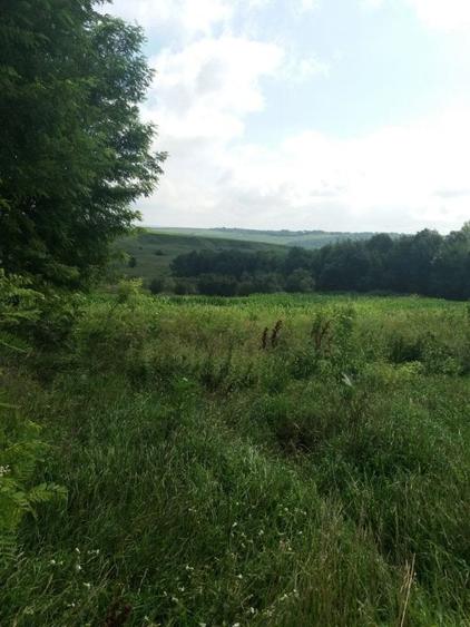 Teren intravilan Cucorani - 1