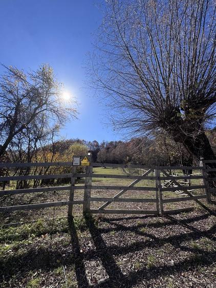 Teren intravilan Bradulet (Ungureni) , imprejmuit, langa padure - 5