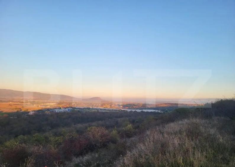 Teren INTRAVILAN - ECLUSIVITATE BLITZ, 16.700 mp, zona Deva - 4